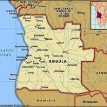 Image Plantes d'Angola